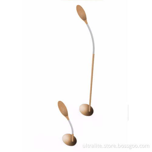 Modern Floor Lamp With Touch Switch